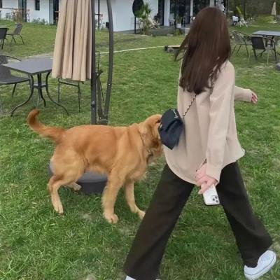 时间的桥梁